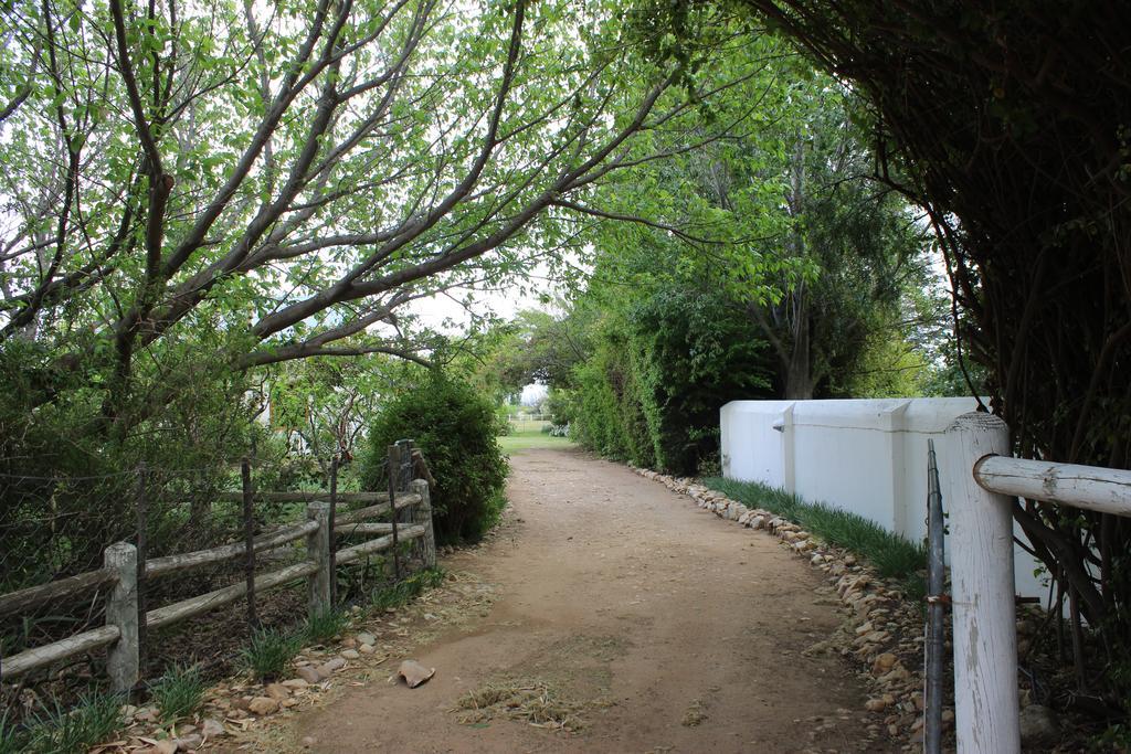 Acacia Cottage Prince Albert Esterno foto