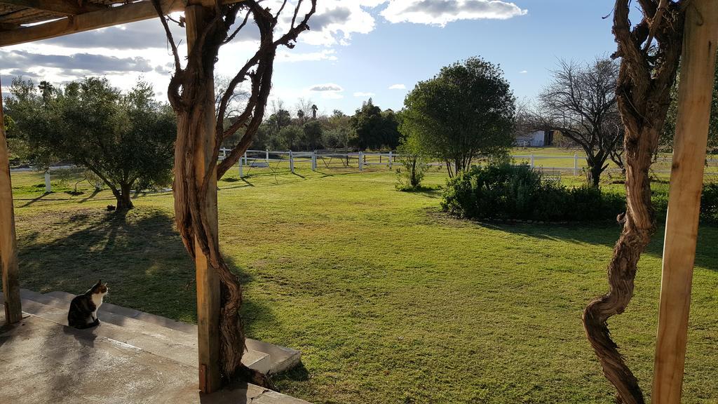 Acacia Cottage Prince Albert Esterno foto