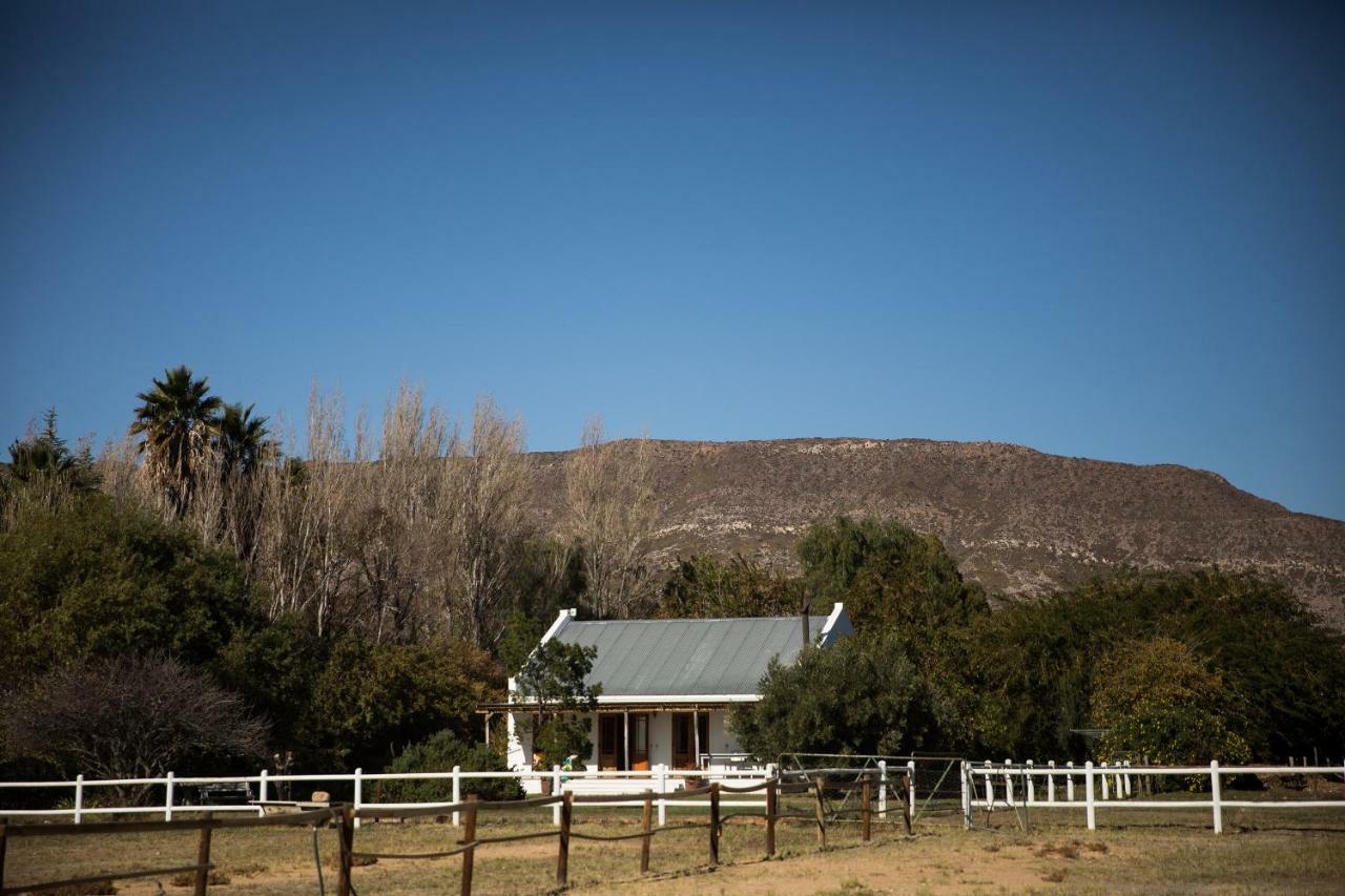 Acacia Cottage Prince Albert Esterno foto